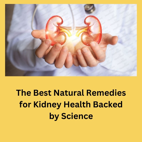The Best Natural Remedies for Kidney